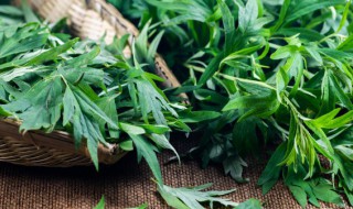 端午节为啥门上挂艾草 端午节门口挂艾草是什么意思