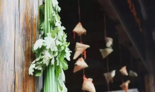清明节要挂什么草 端午节要挂什么草