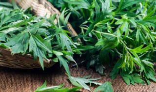 端午节买艾草干嘛 为什么端午节要买艾草