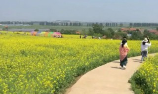 端午节踏青的意思 端午节踏青什么意思
