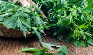 端午节为什么要插艾草的故事 端午节为什么要插艾草