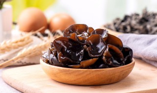 木头种植木耳什么时候最好 木耳什么时候种植