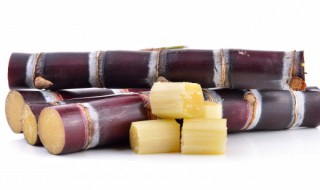 南方甘蔗什么时候种植最佳 南方甘蔗什么时候种植