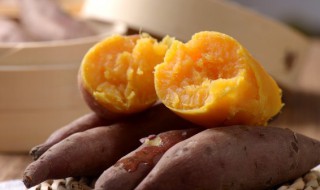 红薯几时种植 晚红薯什么时候种植