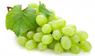 葡萄是几月份种植 葡萄是什么时候种植