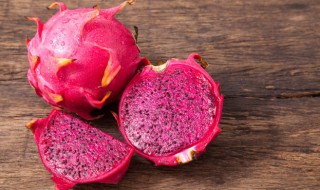 火龙果是几月种植 火龙果是什么时候种植