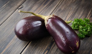 茄子什么时候种植最好 茄子适合什么时候种植