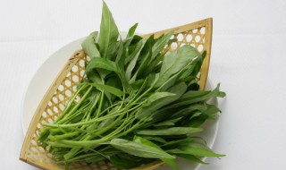 小青菜什么时候种植 清莱什么时候种植好