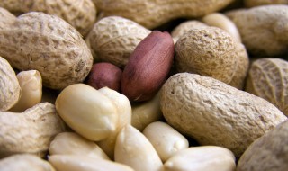 花生啥时候种最好 怎样种 请问花生什么时候种植最好