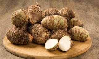 芋头发芽了怎么栽种 芋头种子发芽了大田里怎么种