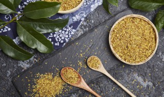 桂花什么时候种植最好 桂花什么时候种植好