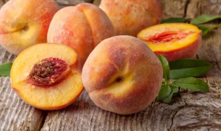 冬桃树苗在几月份开始种 冬桃树苗什么时候种植