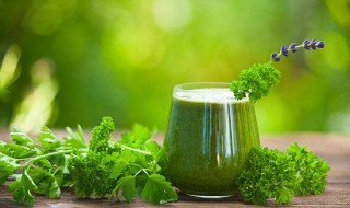 野生大叶芹怎样栽培 大叶芹的养殖方法和注意什么