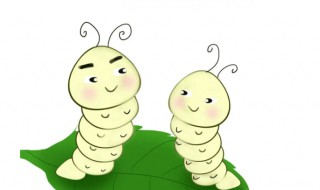 什么季节最适合养蚕 什么季节适合养蚕