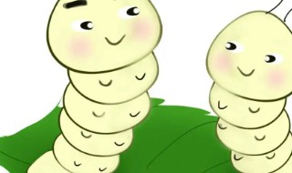 桑蚕养殖需要注意什么 桑蚕养殖技术和注意事项