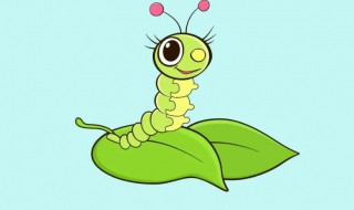 哪些地方适合养蚕 什么地方适合养蚕