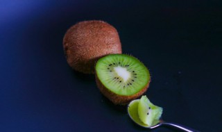 奇异果树怎么种植 奇特果树种植方法