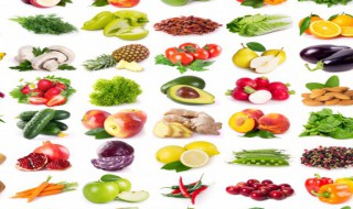 红枣树的养殖方法 红枣苹果树种植方法