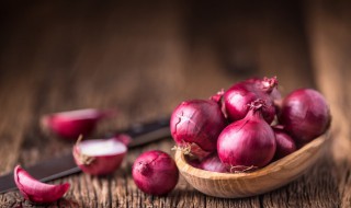 洋葱什么时候播种最好 洋葱什么时候播种