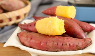 地瓜什么时候栽种 地瓜什么时候播种