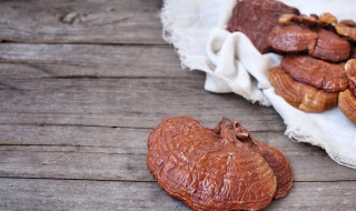 灵芝怎么栽培养殖的 灵芝怎么栽培