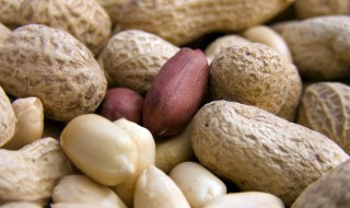 春花生什么时候播种最合适山东 春花生什么时候播种