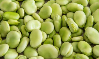 蚕豆的播种方法 蚕豆播种方法