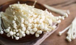 怎样培植金针菇根 小妙招金针菇的根怎么栽培