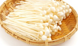 金针菇栽培要点 金针菇栽培方法