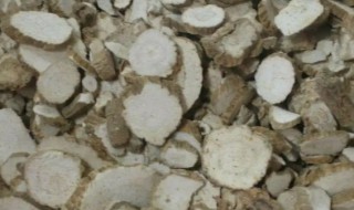 祁白芷的产地 祁白芷栽培方法