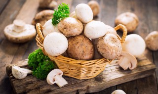 蘑菇栽培技术要点 蘑菇栽培方法