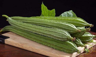 丝瓜的栽培要点 盆栽丝瓜栽培方法如下