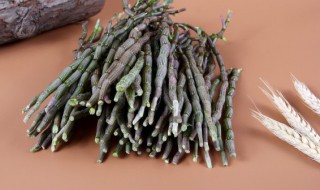 野生铁皮石斛种植方法 野生铁皮石斛栽培方法