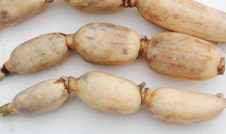 莲花菜什么时候种植 莲菜什么时候种植