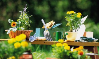 家里摆放什么摆件招财又旺宅 客厅摆放什么摆件招财又旺宅