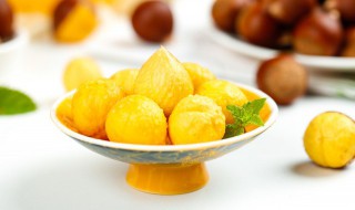 栗子树什么时候种植最好 栗子树什么时候种植