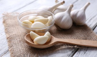 大蒜头几月份种植 大蒜头什么时候种植