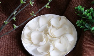 百合在什么时候种 种植百合是什么时候