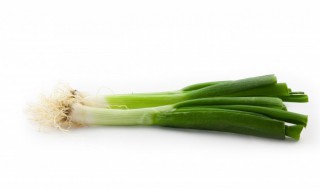 大葱什么时候种什么时候收 大葱种植什么时候收获