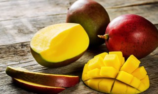 芒果什么时候种植视频 芒果什么时候种植