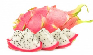 火龙果什么时候种植合适 火龙果什么时候种植