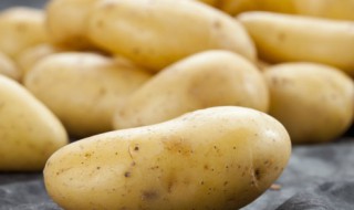 网上买的种子发芽了之后怎么种 买回的土发芽了怎么种