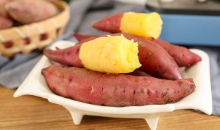 发了芽的地瓜如何栽种 家里买的地瓜发芽了该怎么种