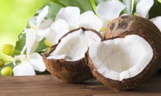 椰子发芽了怎么种植 椰子发芽了怎么种