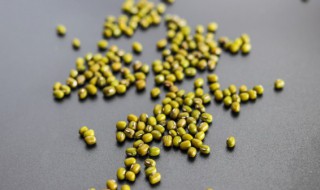 绿豆发芽了该怎么种 泡的绿豆发芽了怎么种