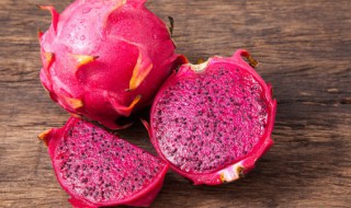 火龙果出芽后怎样养 火龙果发芽了之后怎么种