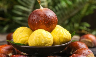 板栗能发芽吗 冬天买的板栗发芽了怎么种