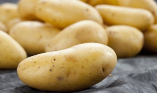 发芽土豆怎么种 发芽了的土豆怎么种