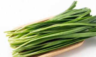 阳台种韭菜多久发芽 屋内种韭菜一月不发芽怎么了