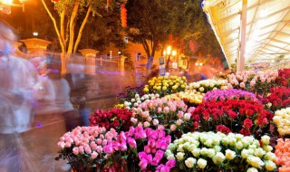 家里适合摆什么干花可以旺财 家里摆放什么干花招财又旺宅